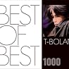 T-BOLANのアルバムの画像
