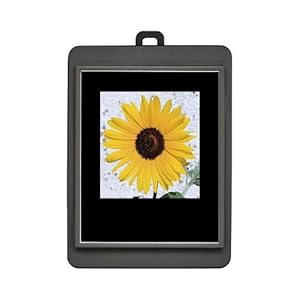 【クリックでお店のこの商品のページへ】フォティ1.5インチ ブラック PHOTTY-SQ15-BK