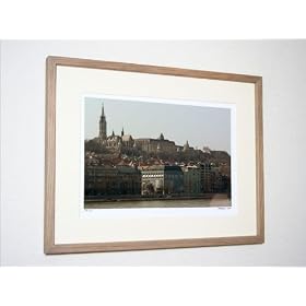 �s�C���e���A�[�g�t�u�_�y�X�g �}�[�`���[�V������Ƌ��v�̍�