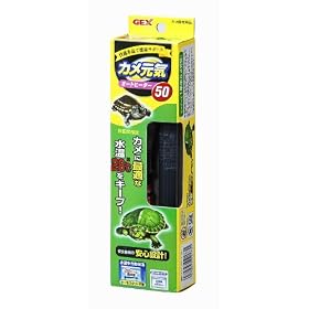 �J�����C�I�[�g�q�[�^�[50