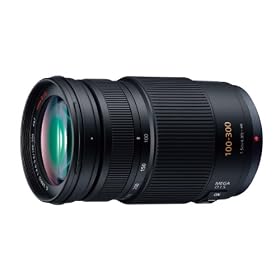 Panasonic LUMIX G VARIO 100-300mm F4.0-5.6 MEGA O.I.S H-FS100300