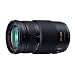 Panasonic LUMIX G VARIO 100-300mm F4.0-5.6 MEGA O.I.S H-FS100300