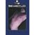 �j���m��SEX�}�j���A�� (DATAHOUSE BOOK)