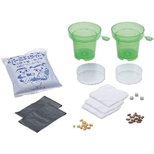 【クリックで詳細表示】生物・自然観察 植物の発芽と成長