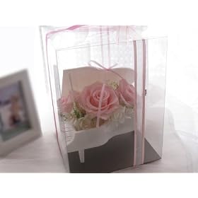 �v���U�[�u�h�t�����[�@�M�t�g�@�u�P�[�X���聙�f�G�ȃs�A�m�A�����W�� �v��̓��A�����j���A�a����