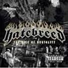 Rise of Brutality