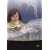 �t�̋��ꏊ [DVD]