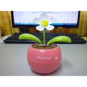 �\�[���[�p�l���d���ł���瓮���s�v�c�ȉԁi�t�����[�j flip flap  [a272]