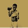STAY GOLD(DVD�t)