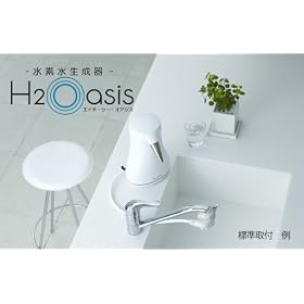 ���f��������@H2Oasis�@�i�G�C�`�c�[�I�A�V�X�j