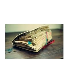 *(NOTES)�y����Ձz