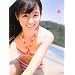 ���ސF 4�]seasons�]�\���r���ގʐ^�W