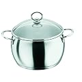 Fissler C+S���C�����V���[�Y �V�`���[�|�b�g 20cm
