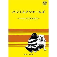 パンくんとジェームズ ~いっしょにあそぼう~