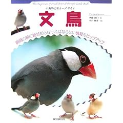 �������r�M�i�[�Y�K�C�h ���� (SMALL ANIMAL POCKET BOOK SERIES)