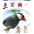 �������r�M�i�[�Y�K�C�h ���� (SMALL ANIMAL POCKET BOOK SERIES)