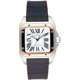 [�J���e�B�G] CARTIER �r���v �T���g�X100MM W20107X7 �{�[�C�Y [���s�A���i]