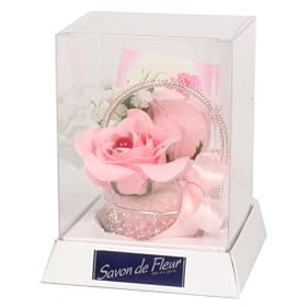 �y�K�^�E����z �T�{���h�D�t���[��  �p���[�X�g�[���G�N�Z�����g�t�����[ �N���A�{�b�N�X ~�A���}�̍���~ �y��̓��A�����W�z 22946
