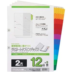 【クリックで詳細表示】マルマン ラミネートタブ インデックス LT4212F A4 2穴 12山 5組