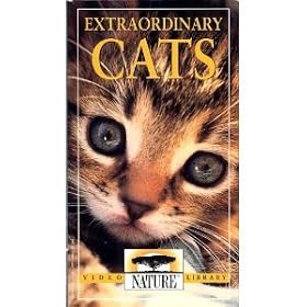 Extraordinary Cats [VHS] [Import]