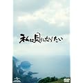 ���͊L�ɂȂ肽�� [Blu-ray]