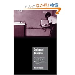 Cultural Trauma: Slavery and the Formation of African American Identity (Cambridge Cultural Social Studies)
