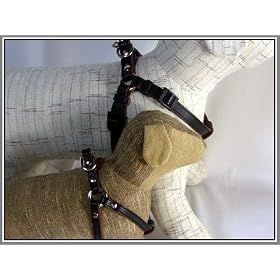 ���^���p�ō����{��v�n�[�l�X a-cube Hi-LINE ��/�����K S/M�p