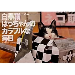 �����L�͂������̃J���t���Ȗ���