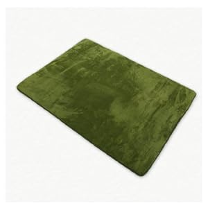 【クリックで詳細表示】低反発・遮音マイクロラグ 190X240 グリーン RM-100
