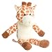pacimals ����� ������Ԃ�t���������ʂ������ PAC650