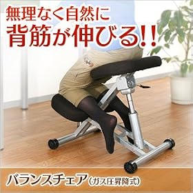 �T�����_�C���N�g �o�����X�`�F�A �K�X�����~�^�C�v 100-SNC038