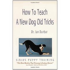 How to Teach a New Dog Old Tricks