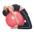 ���[�W�F���g�E�t�@�[�C�[�X�g �t���b�N�X�o���[�� 45cm �p�[�����b�h 39625