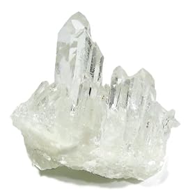 �V�h��̑� �����N���X�^�[ ��200g