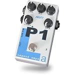 AMT Electronics P1