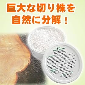 �y���������z���܂ł̋�J�͉��������́H�����قǃJ���^���ɐ؂芔�𕪉��I�y�X�^���v�E�A�E�g�@�������Q�g�z