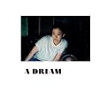����D �ʐ^�W �w A DREAM �x