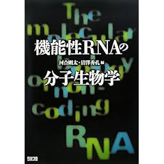 �@�\��RNA�̕��q�����w
