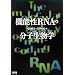 �@�\��RNA�̕��q�����w