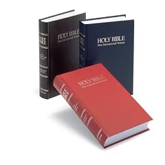 Holy Bible: New International Version Large-Print Worship Bible/Brown