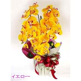 �y�Ӓ����@3�{�����z�@�V���N�t�����[�@�iCT�G�}���H�j�@�C�G���[