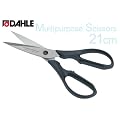 DAHLE�@����X�e�����X�������n�T�~�@���\�n�T�~21CM