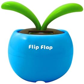 �t���b�v�t���b�v �G�R �X�J�C�J���[