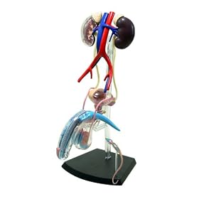 �X�J�C�l�b�g ���̃p�Y�� 4D VISION �l�̉�U No.16 �Y�����B���U���f��