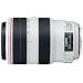 Canon EF�����Y EF70-300mm F4-5.6L IS USM �Y�[�������Y �]��