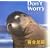 Don�ft Worry�\iwago mitsuaki radio essay�q2�r