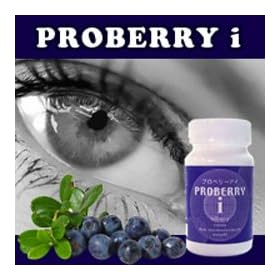 �A�C�P�A�T�v�����Z�����^�C�v�@�v���x���[i 2�Z�b�g(�r���x���[�A�J�V�X�z��)
