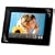Transcend �f�W�^���t�H�g�t���[�� PF810 �u���b�N TS2GPF810K