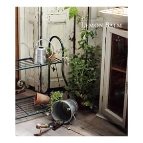 CONCENT �J�^���O�M�t�g �~�X�g���� ���� �M�t�g Lemon Balm �������o�[��