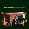 Stefan Goldmann�̃A���o���̉摜